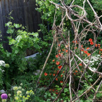 Blog Hilfe mein Garten ist intelligent